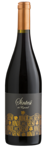 Merlot 2017 DOC Friuli Isonzo Sintesi 0,75l