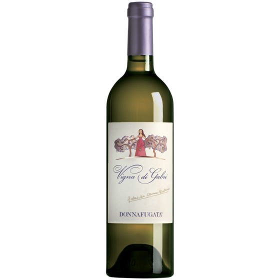 Vigna di Gabri 2022 Sicilia DOP 0,75l