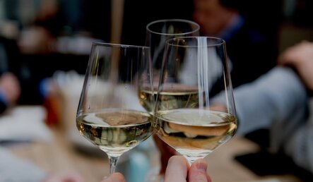 Kde můžete ochutnat dovážená vína?