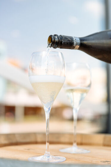 Škola prosecca 23.9.2025