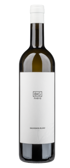 BIG Sauvignon Blanc 2021