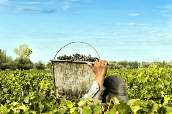 Friuli Venezia Giulia