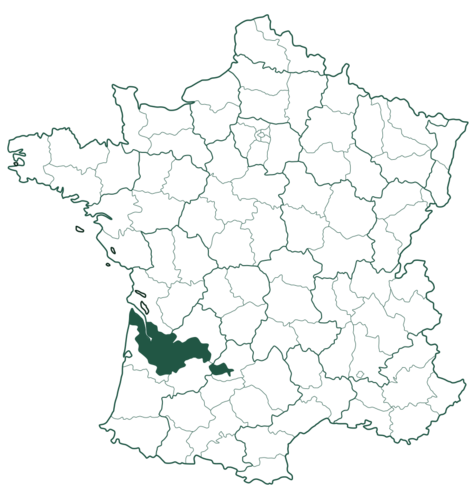 Bordeaux